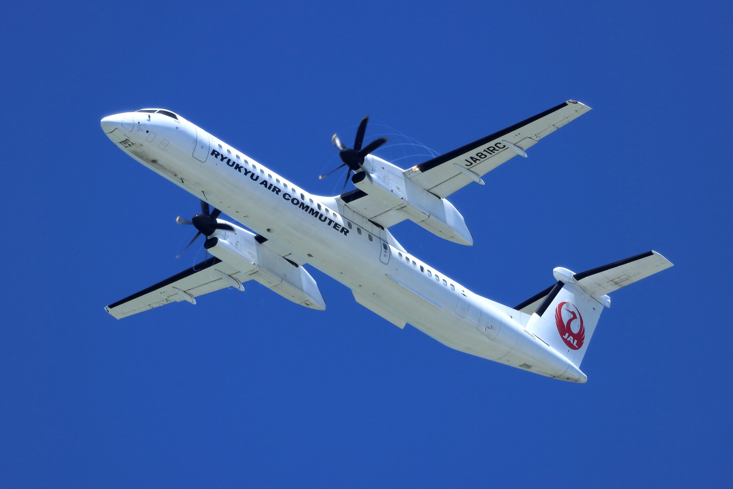 琉球エアーコミューター　 日本航空　JAL　JTA　1/100 飛行機模型 1/100 航空機 琉球エアーコミューター JAL JTA RAC